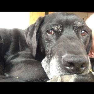 Meet your Posher, Johnanna